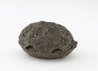 Wierookdoos in de vorm van een schildpad, Kyoto, Edo-periode